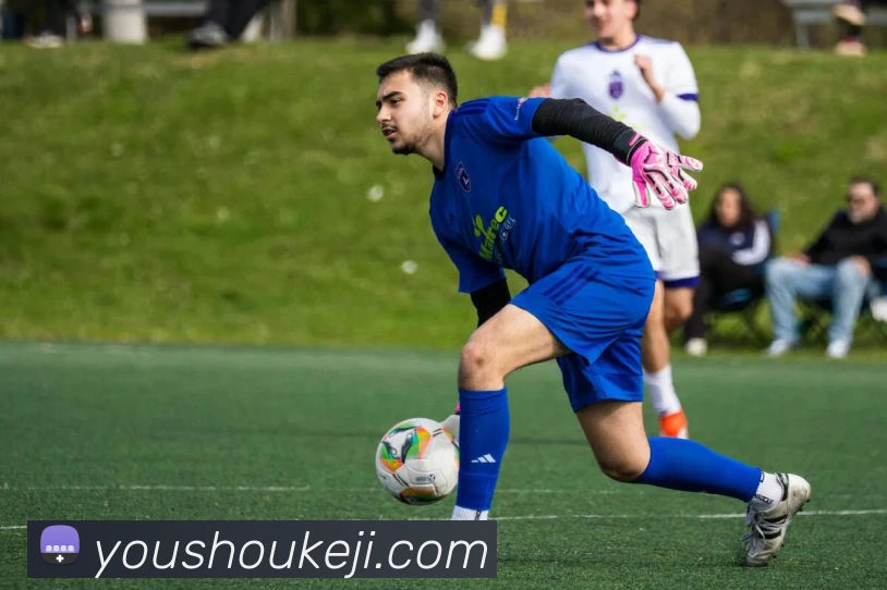 开云体育(kaiyun)官方网站 - KaiYun Sports平台生态图